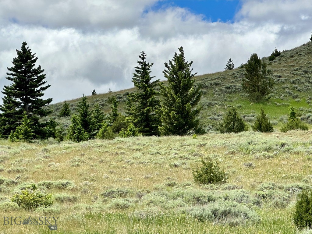 Lot 217A Shining Mountains Unit 2