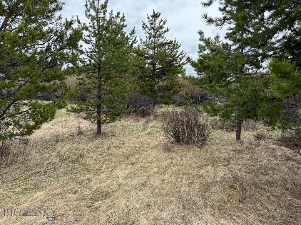 NHN (2.70+/- acres) Highway 1