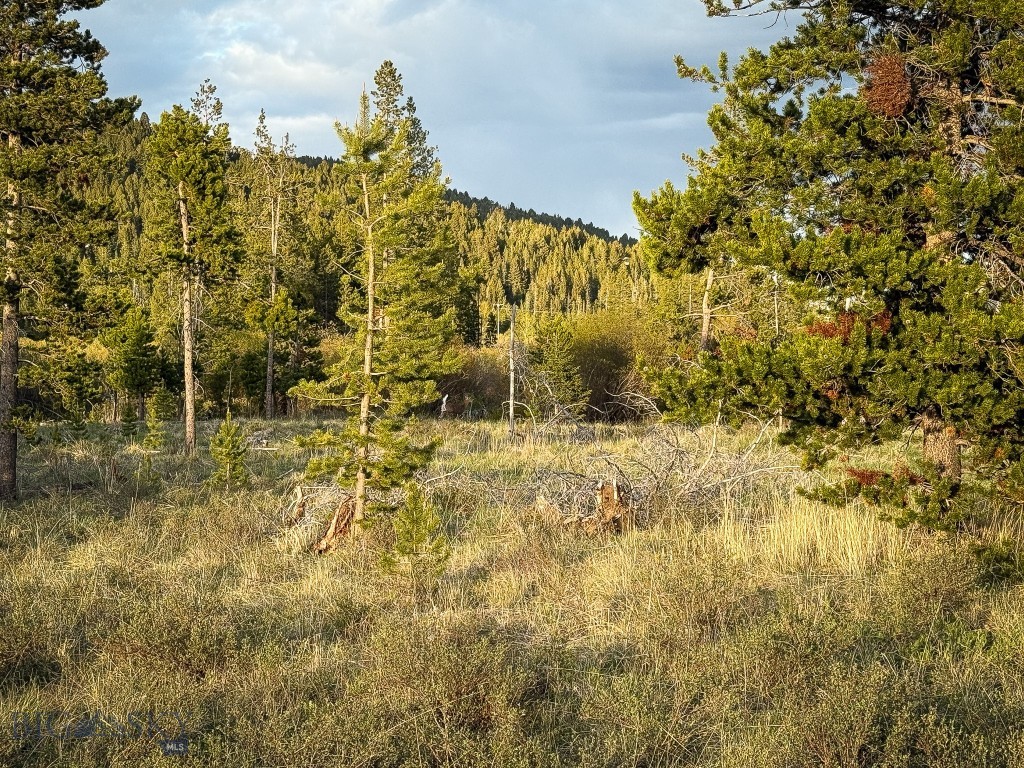 NHN (2.70+/- acres) Highway 1