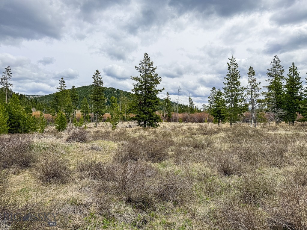 NHN (2.70+/- acres) Highway 1