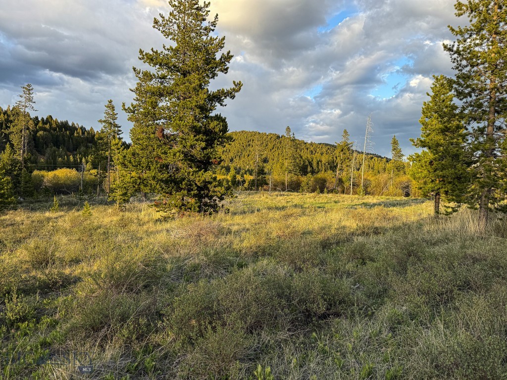 NHN (2.70+/- acres) Highway 1