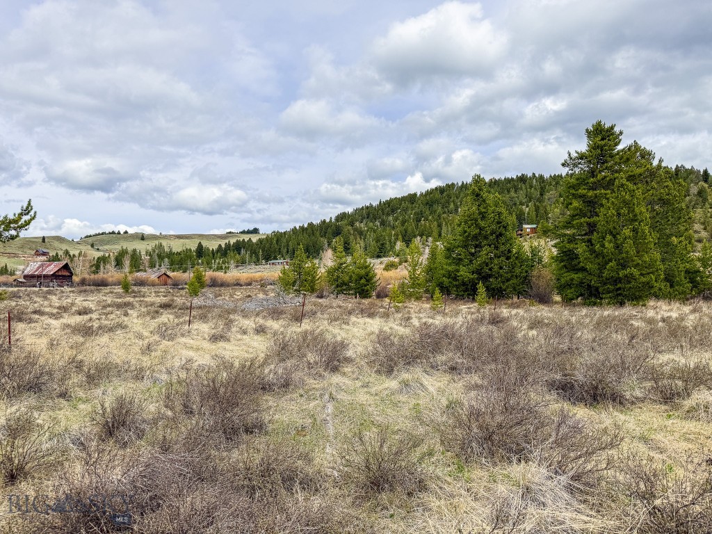 NHN (2.70+/- acres) Highway 1