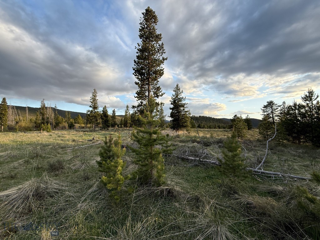 NHN (2.70+/- acres) Highway 1