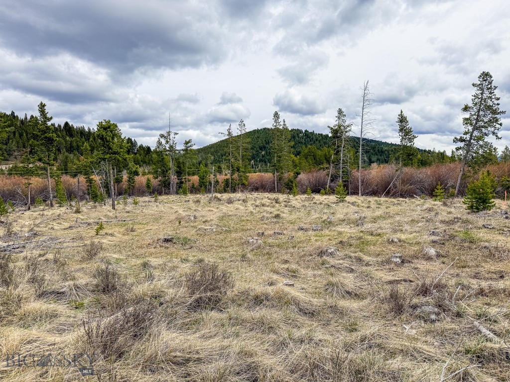 NHN (2.70+/- acres) Highway 1
