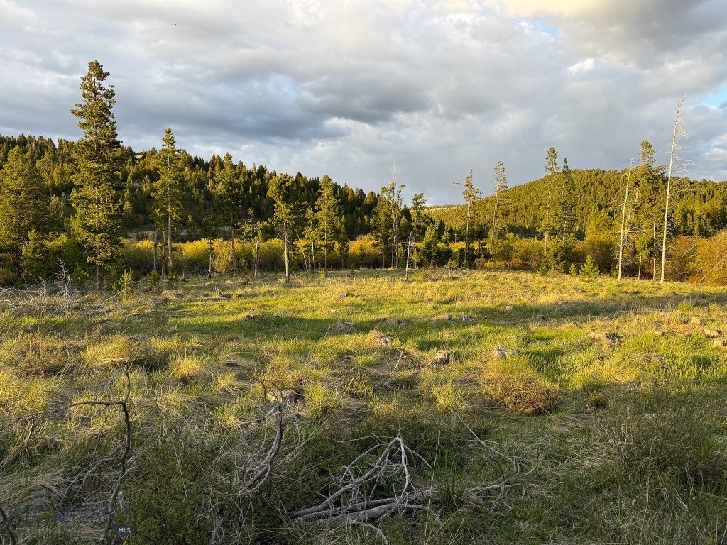 NHN (2.70+/- acres) Highway 1
