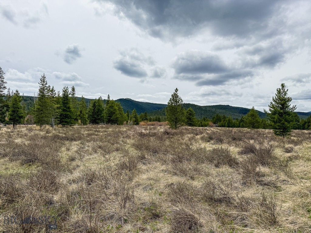 NHN (2.70+/- acres) Highway 1