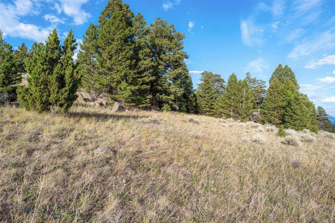 TBD Toll Mountain Road