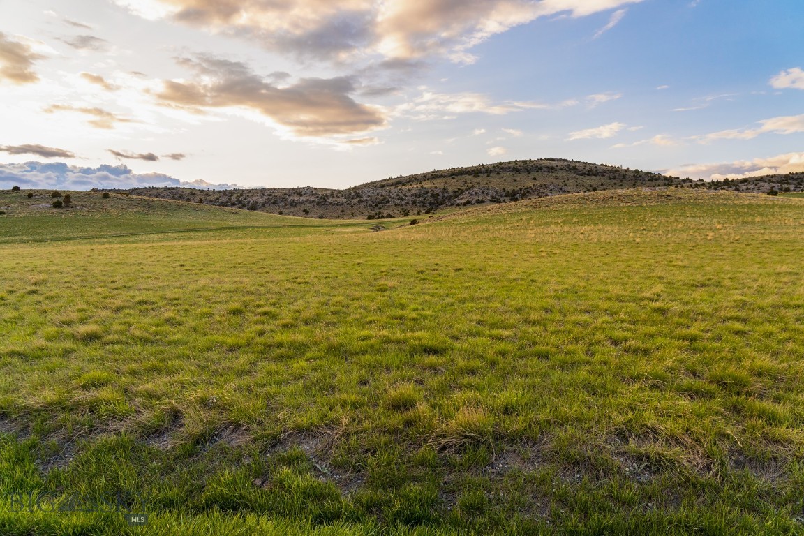 31 Crested Butte