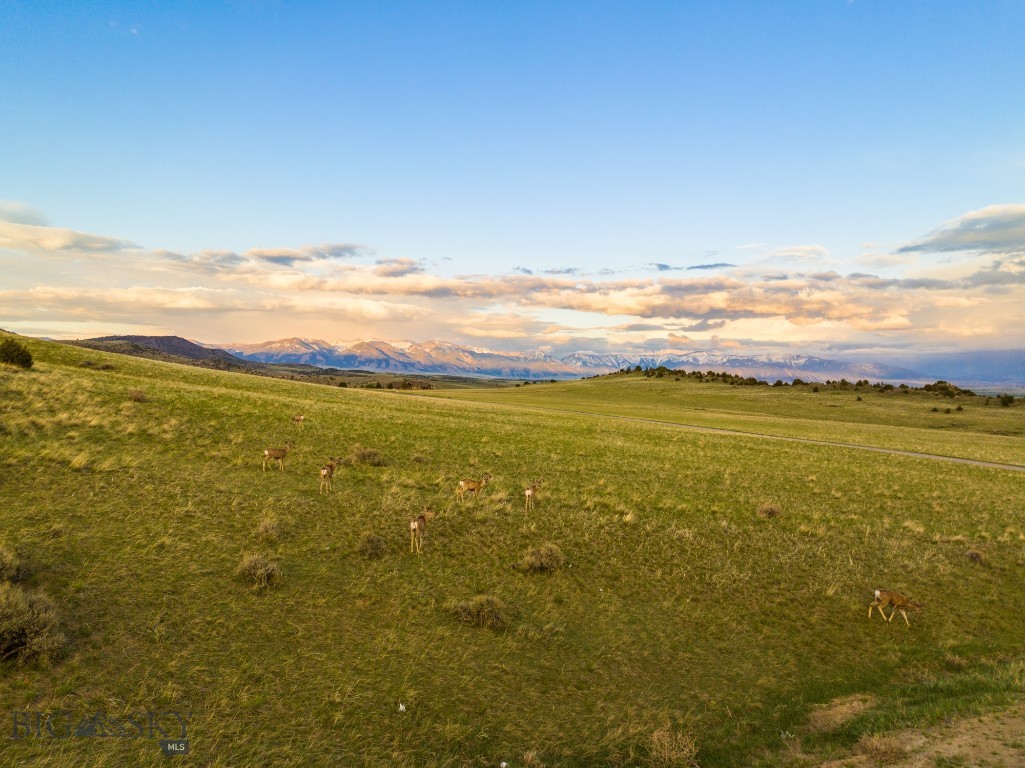 31 Crested Butte