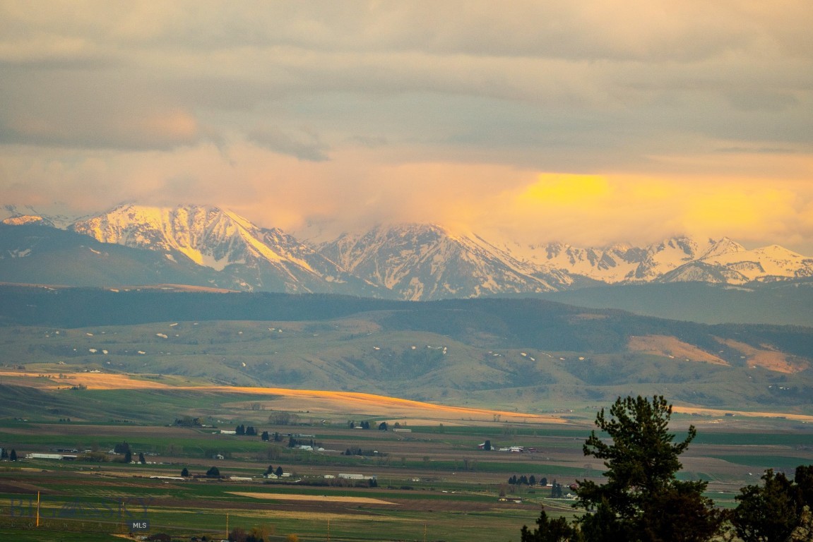 31 Crested Butte