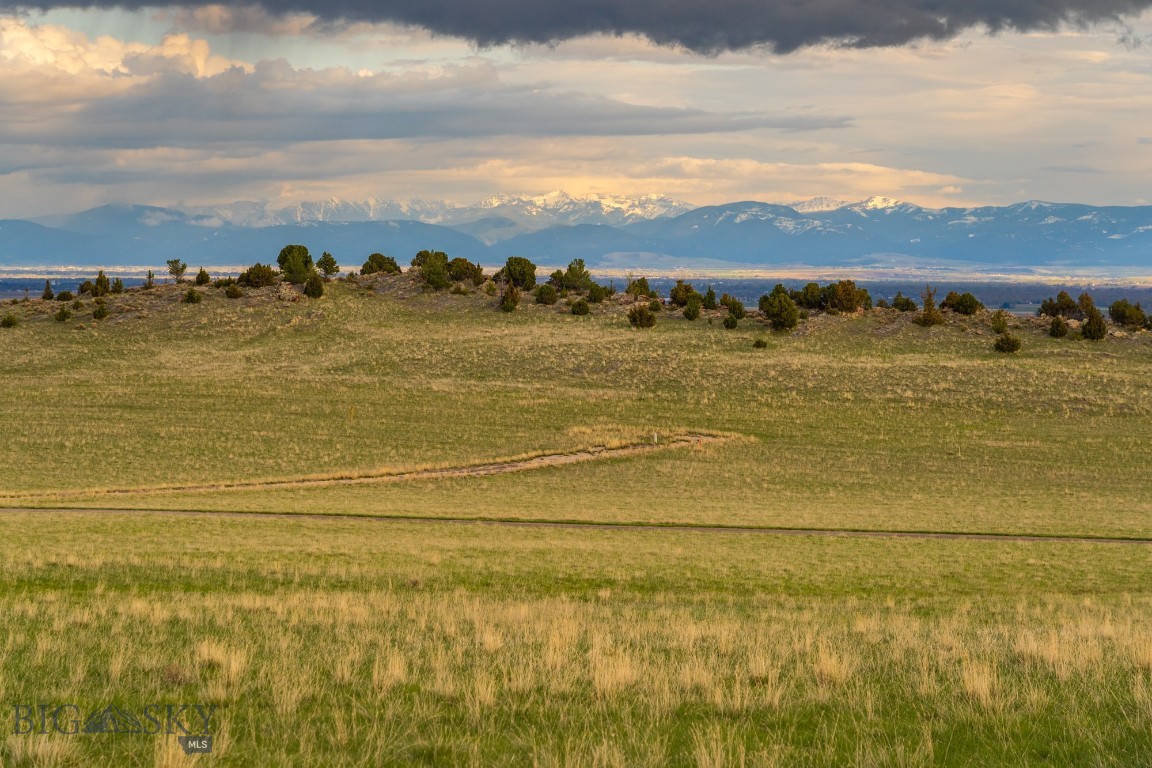 31 Crested Butte