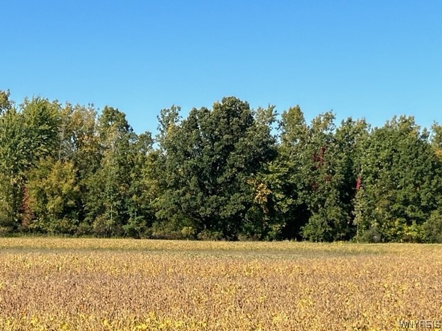 0000 Gill Road