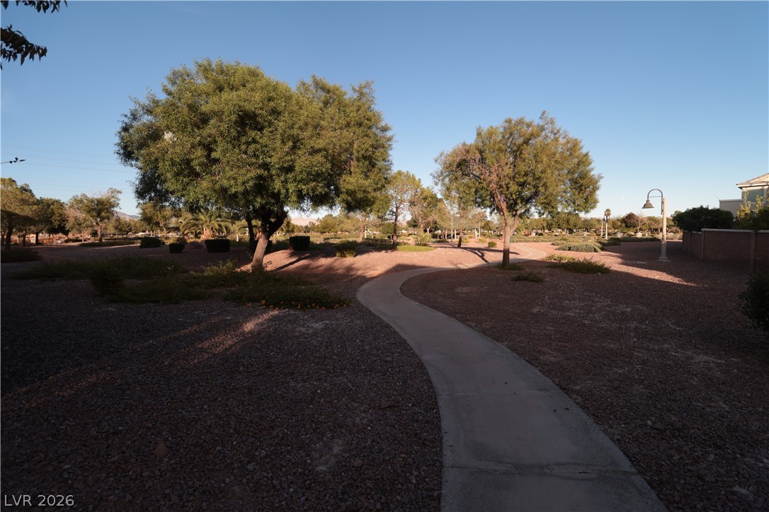 5940 Feral Garden Street