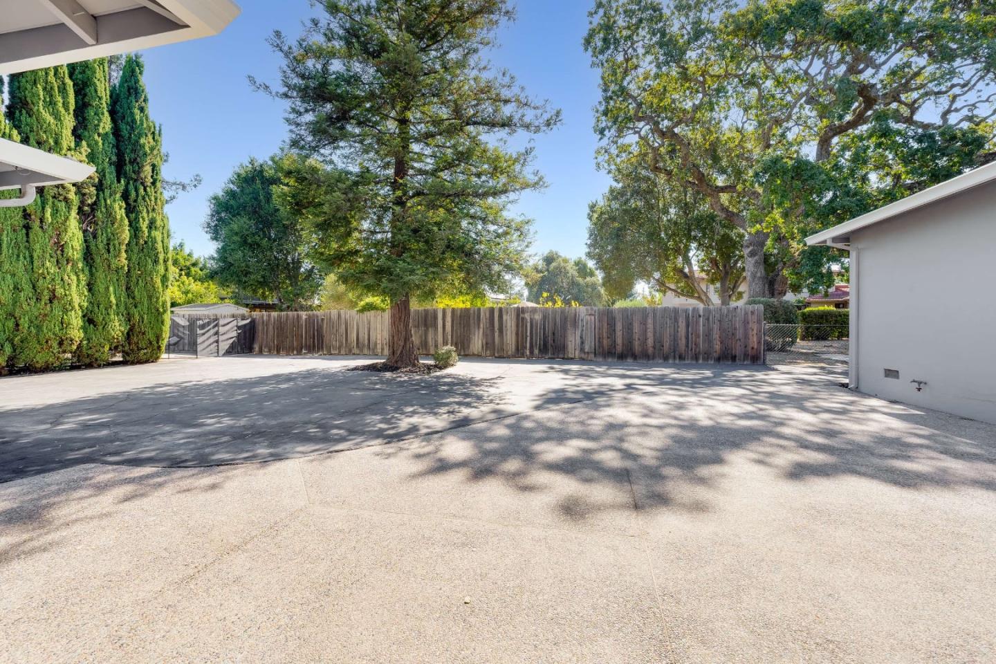Paved yard bordered by a wooden fence, tall evergreens, and mature shade trees.