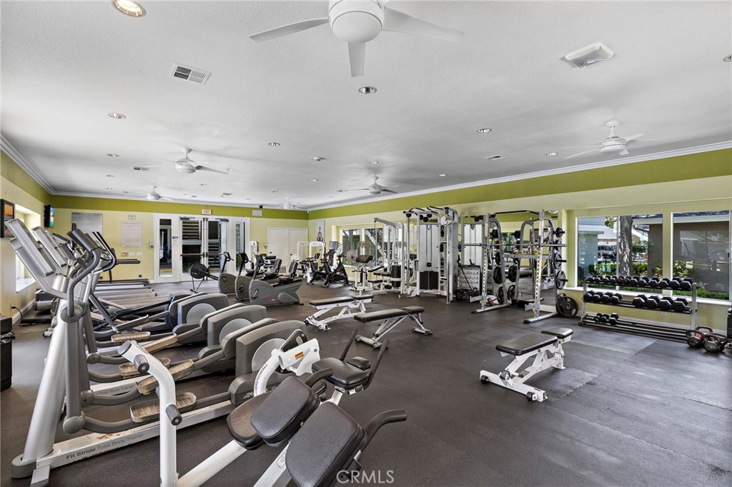 23412 Pacific Park 17k
