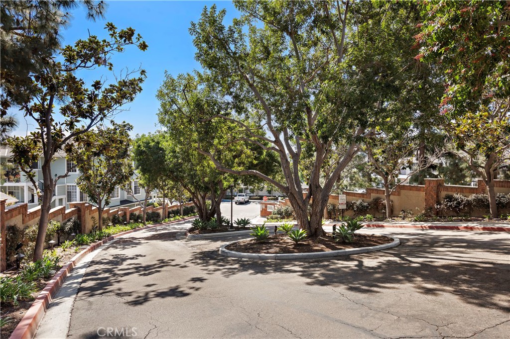 23412 Pacific Park 17k