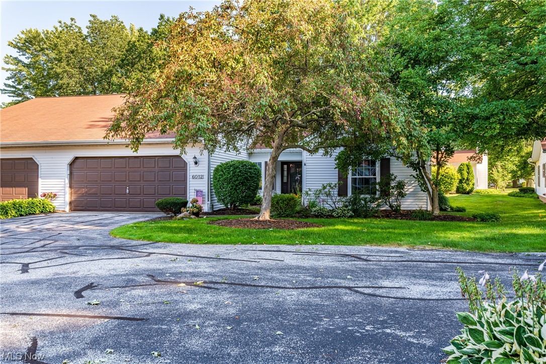 6012 Cabot Court