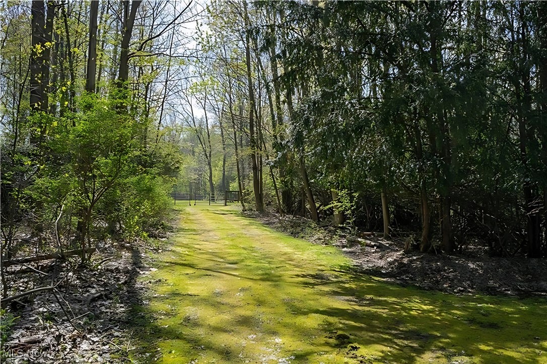 V/L Townline Road