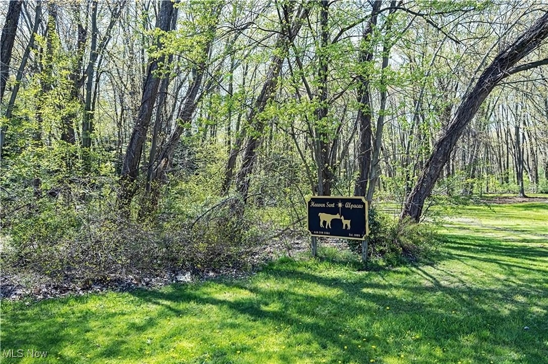 V/L Townline Road