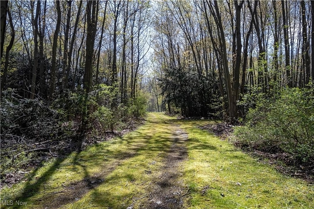 V/L Townline Road