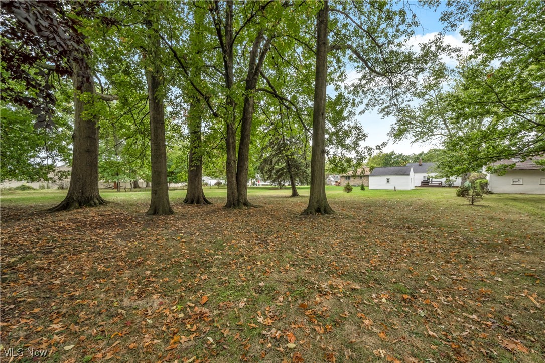 297 E 260th Street