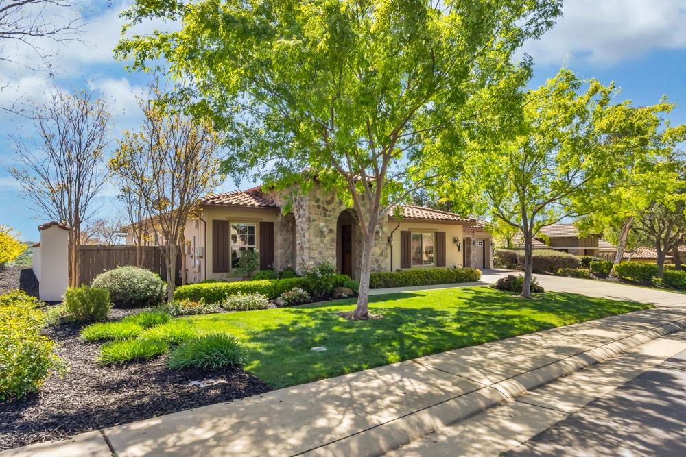 3401 Monteverde Drive
