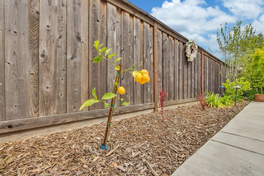 5554 Cannes Way