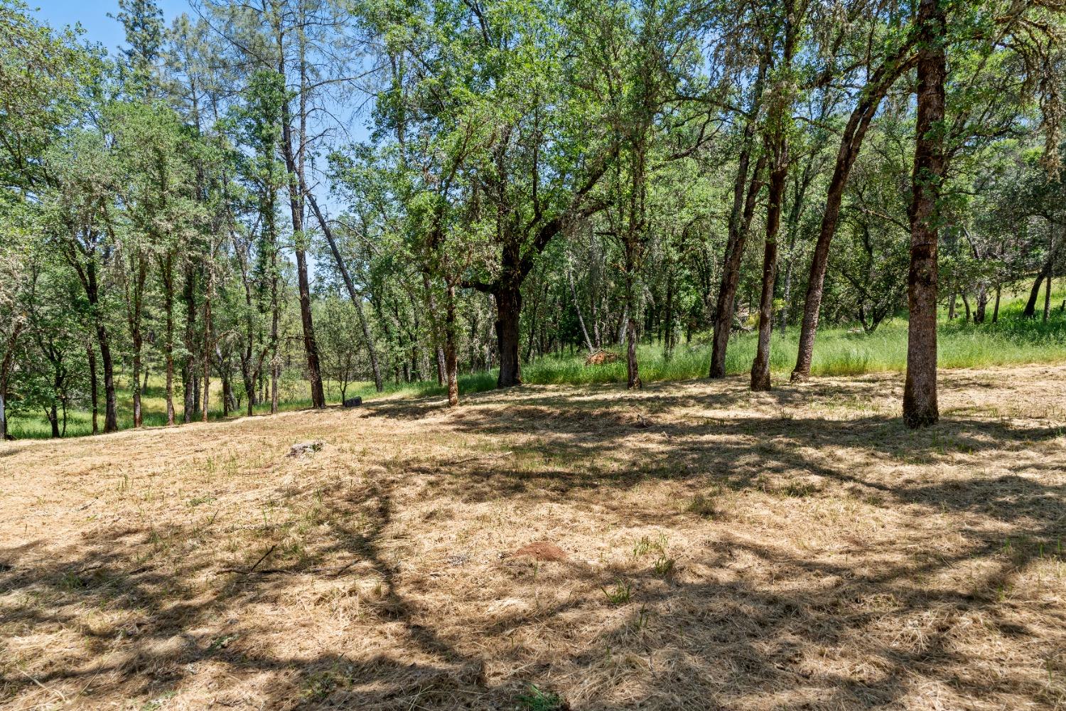 2020 Oak Hill Lane