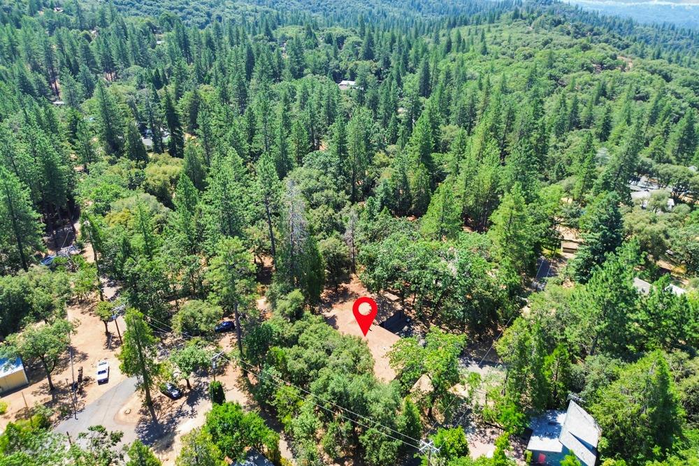 13840 Pine View Drive