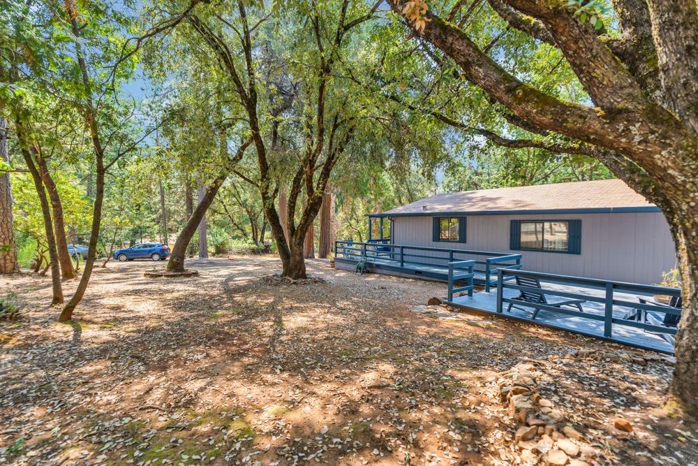 13840 Pine View Drive