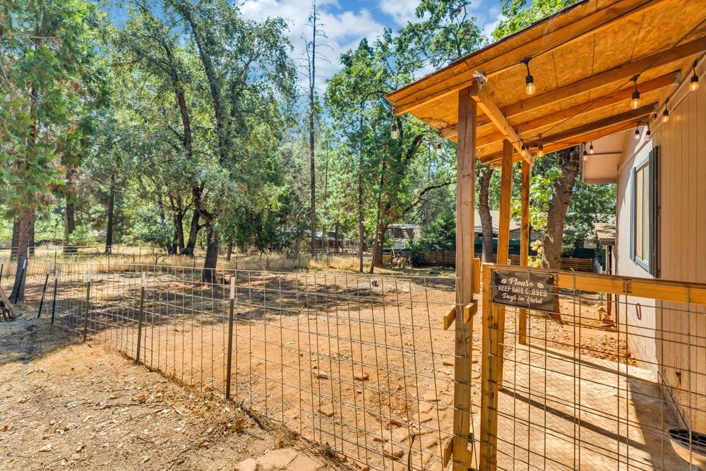 13840 Pine View Drive