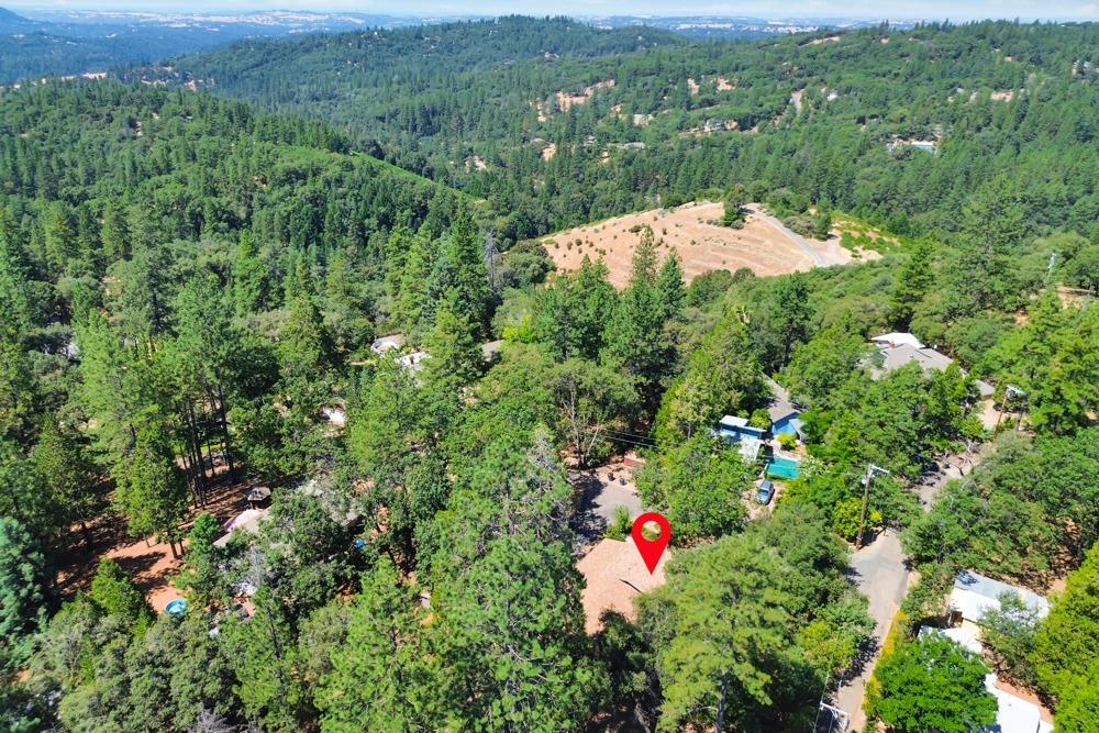13840 Pine View Drive