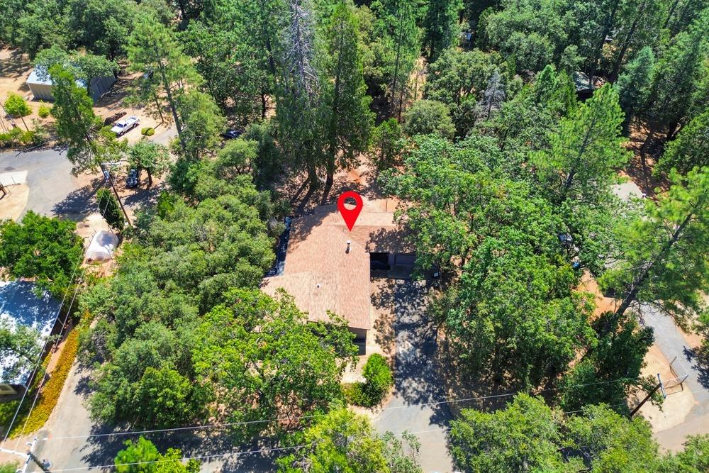 13840 Pine View Drive
