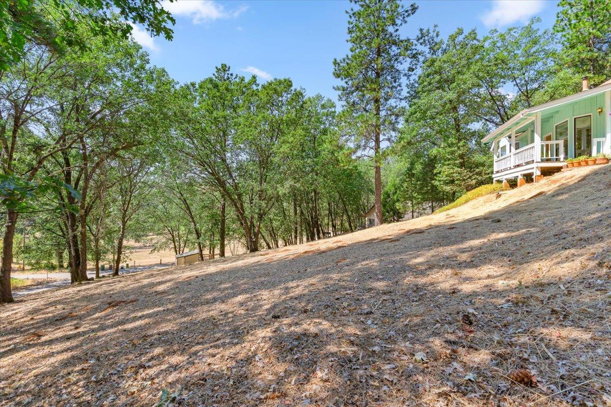 10298 Mountain Lion Lane