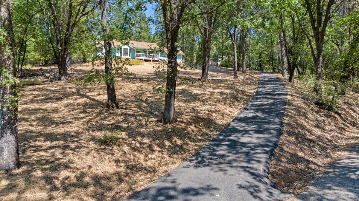 10298 Mountain Lion Lane