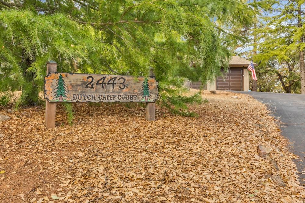 2443 Dutch Camp Court