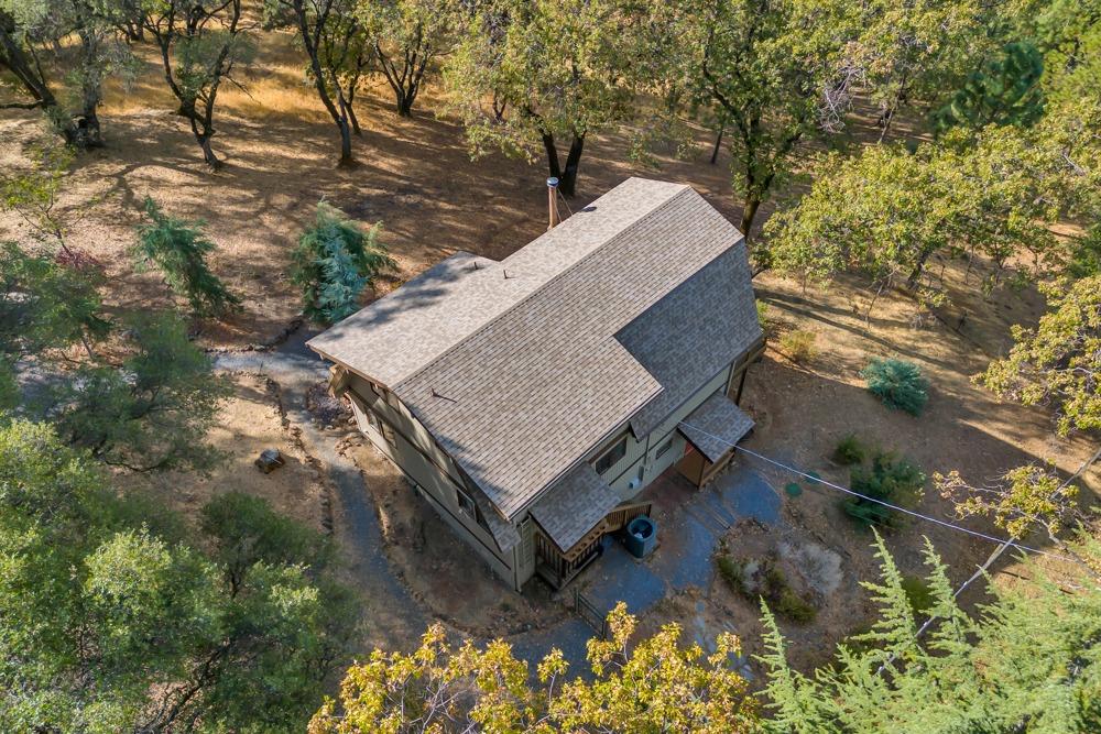 2443 Dutch Camp Court