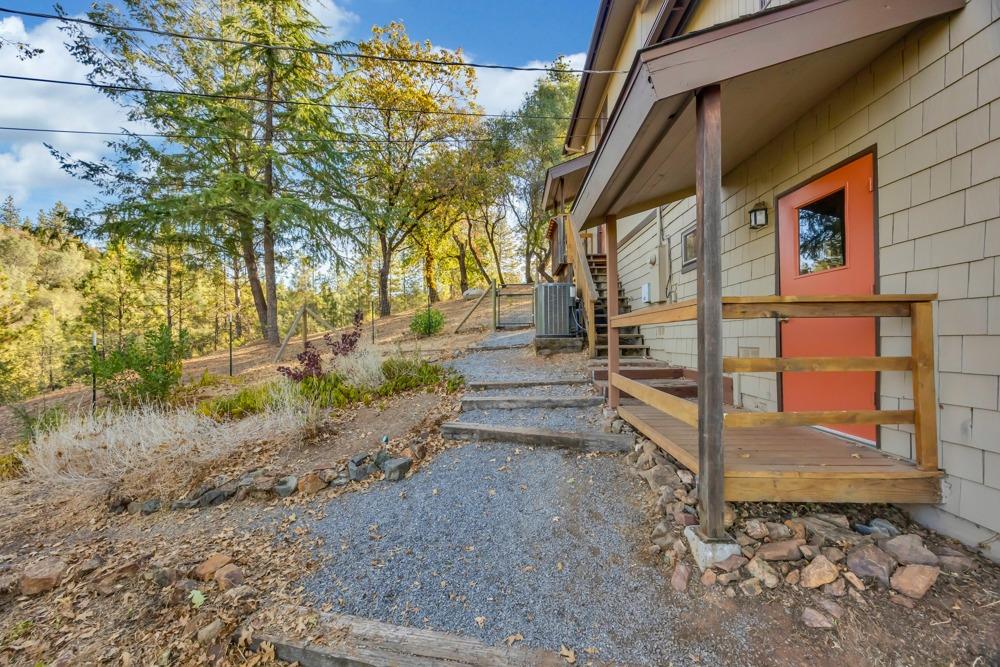 2443 Dutch Camp Court