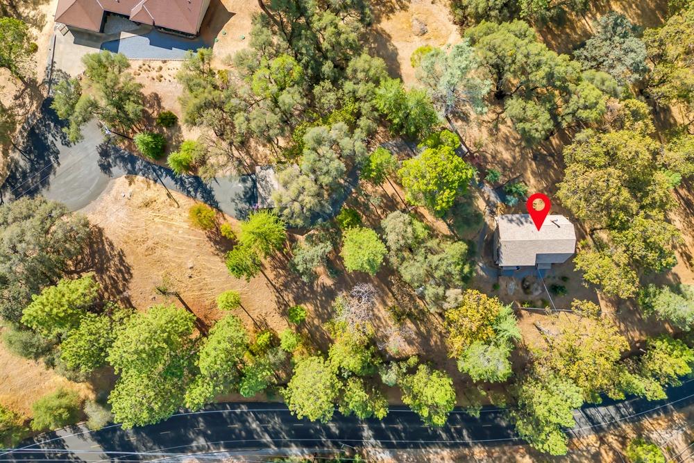 2443 Dutch Camp Court