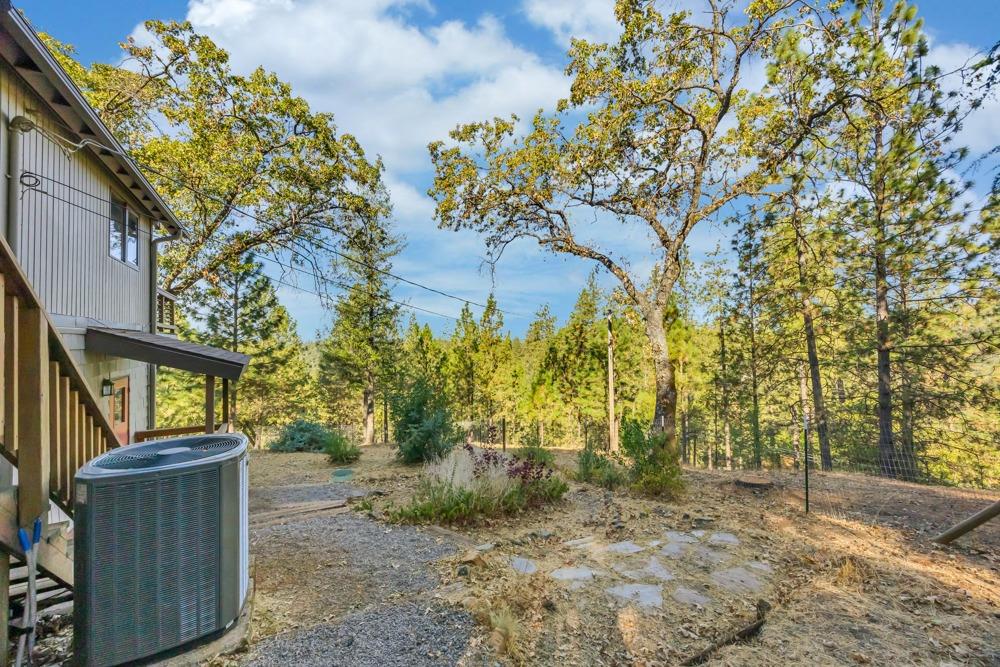 2443 Dutch Camp Court