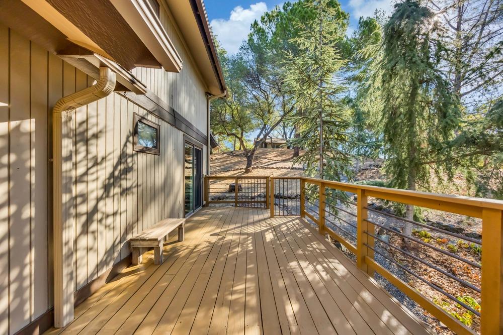 2443 Dutch Camp Court