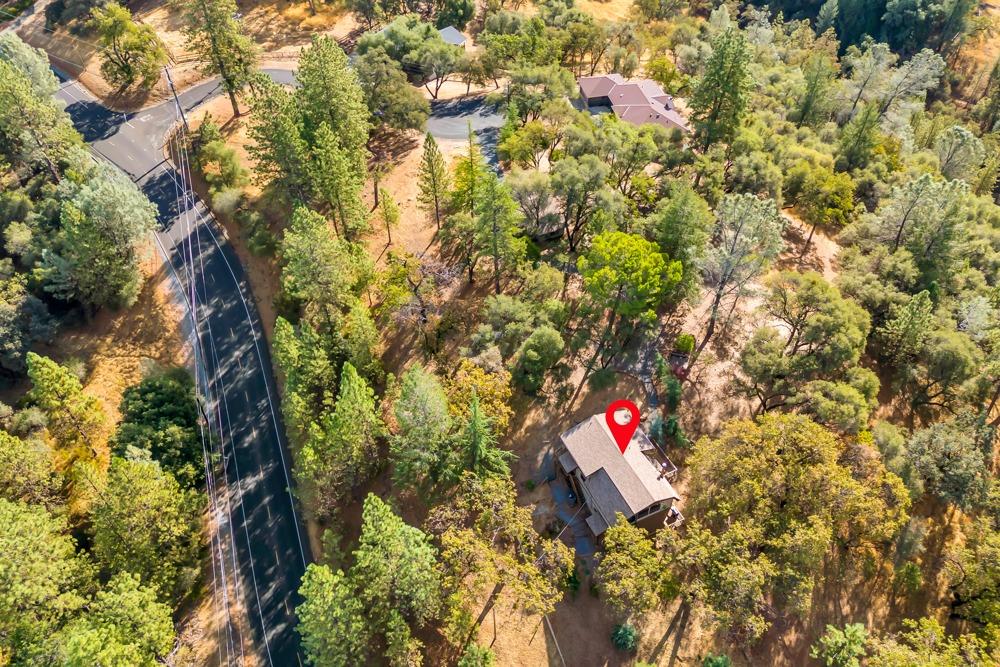 2443 Dutch Camp Court
