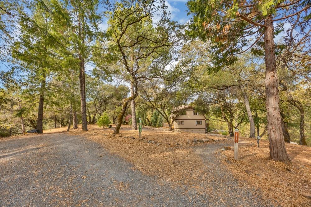 2443 Dutch Camp Court