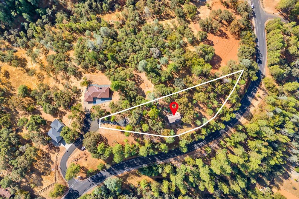 2443 Dutch Camp Court