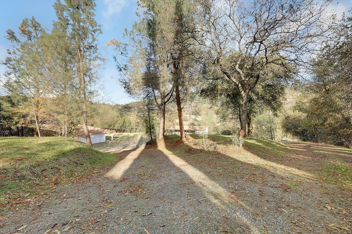 7087 Madrone Lane