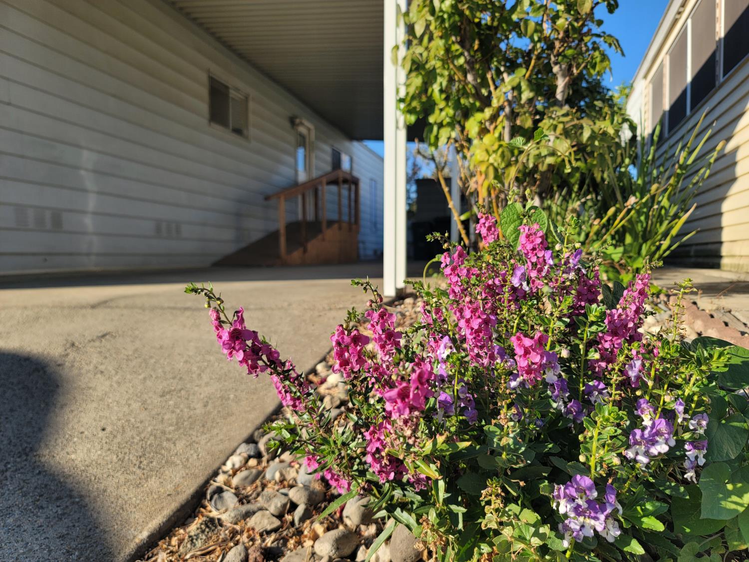 216 San Juan Drive