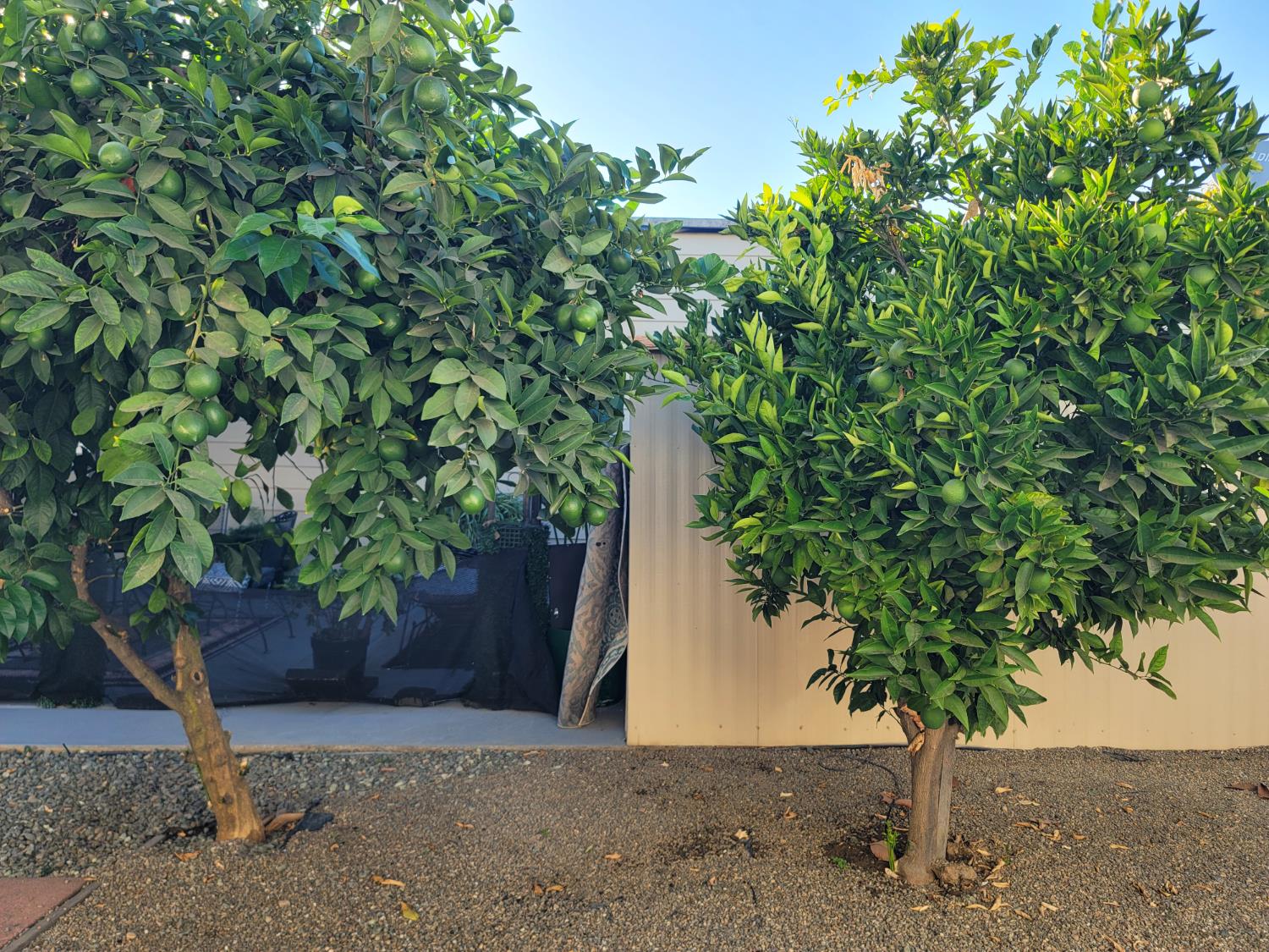 216 San Juan Drive