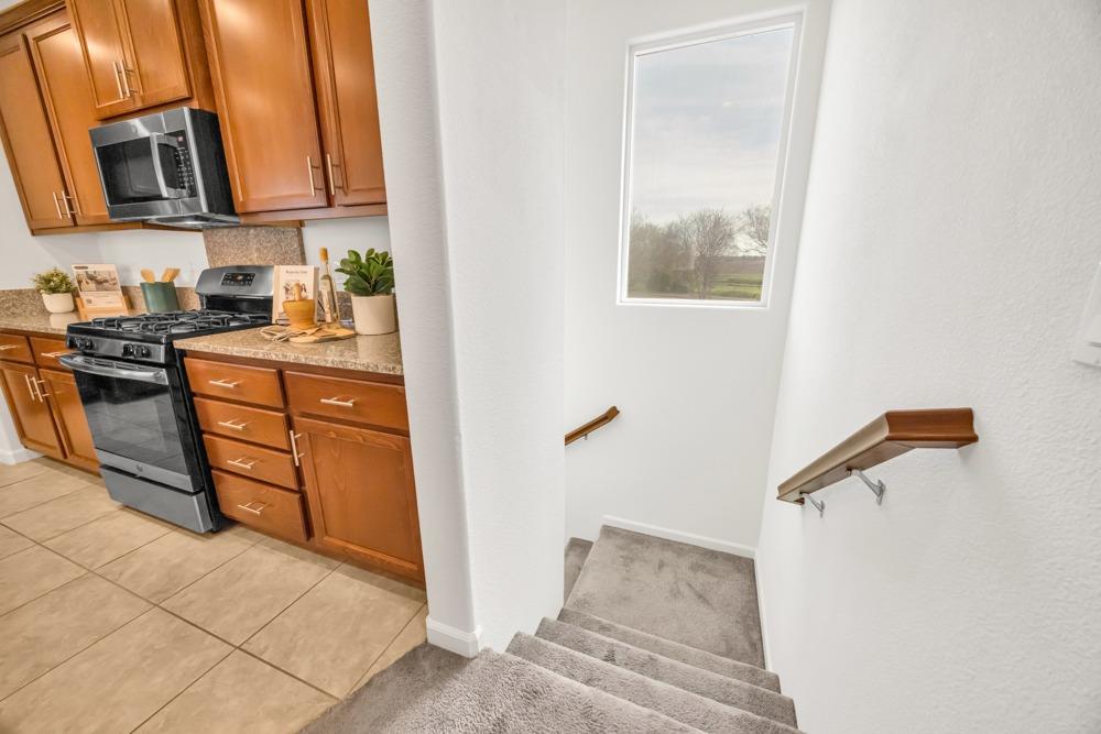 4021 Neapolis Lane