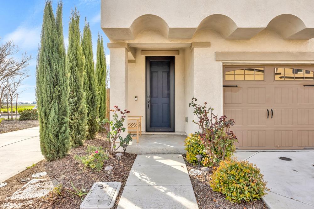 4021 Neapolis Lane
