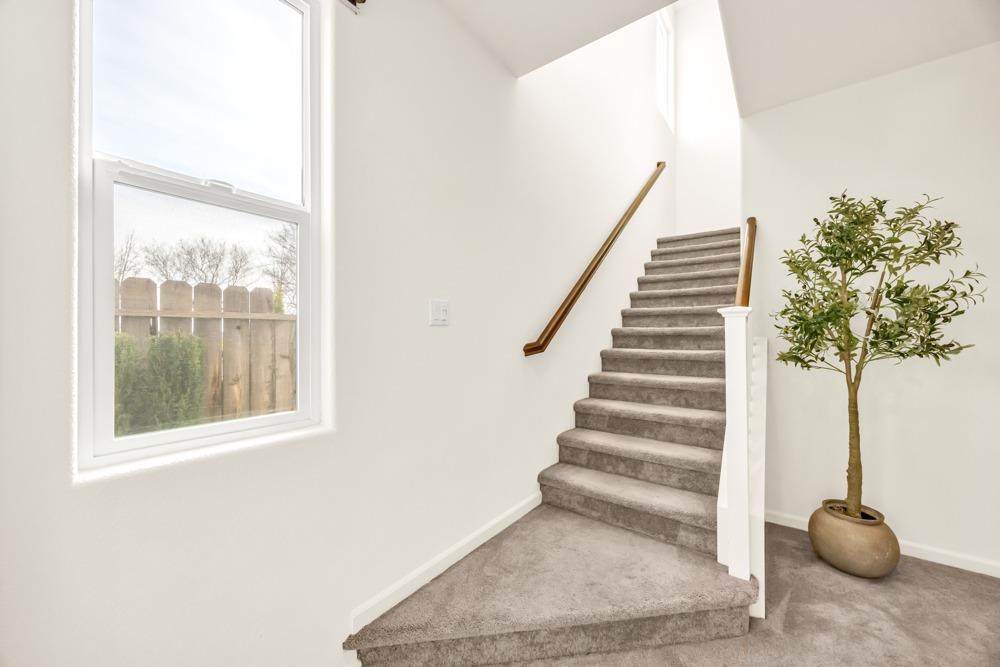 4021 Neapolis Lane